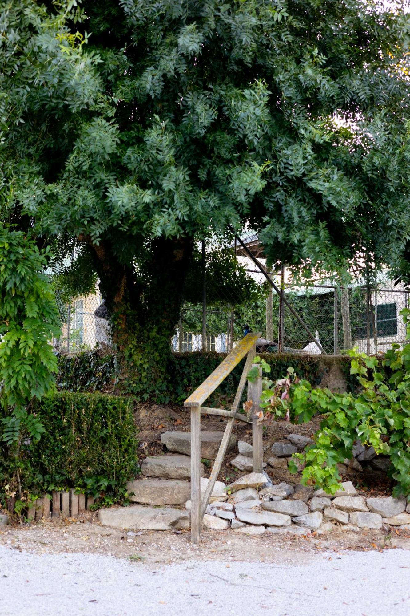 Kabaceira Village Atalaia  외부 사진
